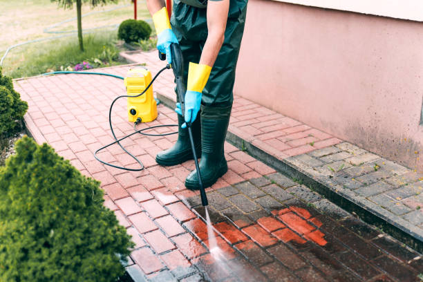 Best Pool Deck Cleaning in Nicholson, GA